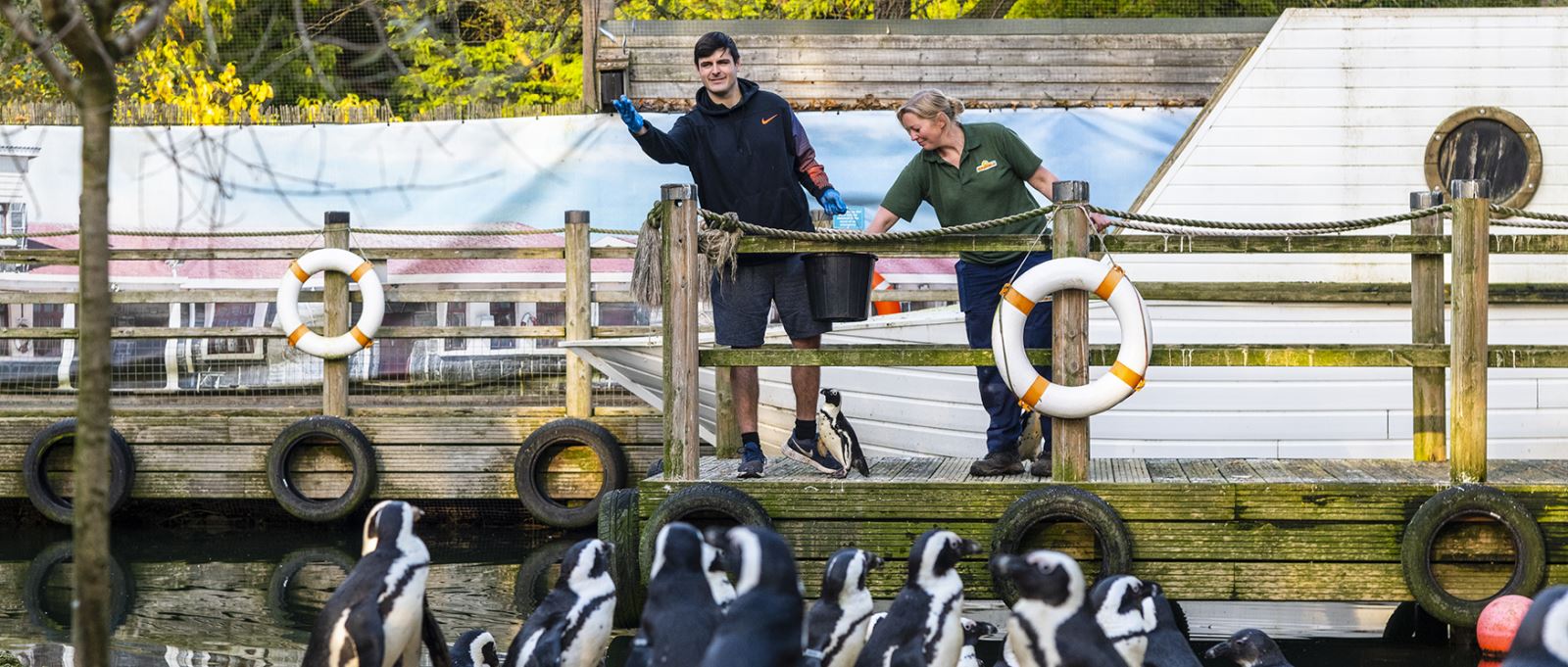 Feeding penguins at Birdworld